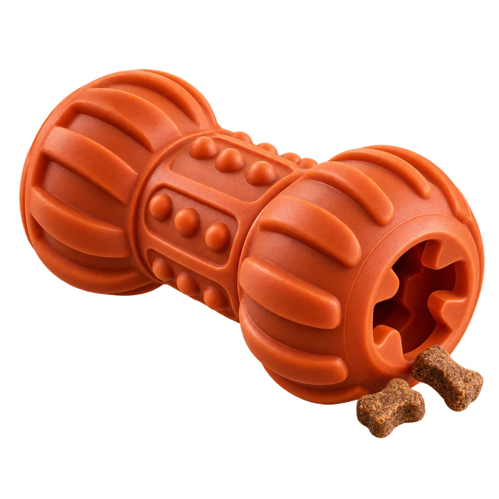 A chew-proof dog toy that holds treats